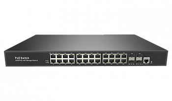 RVi-2NSM24G-4S rev.2 Коммутатор