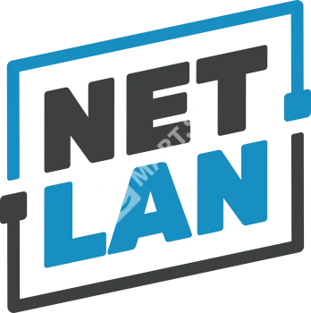 NETLAN EC-WA-095450-W-G-GY Настенный шкаф 19"