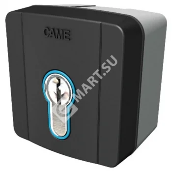 CAME SELD1FDG Ключ-выключатель