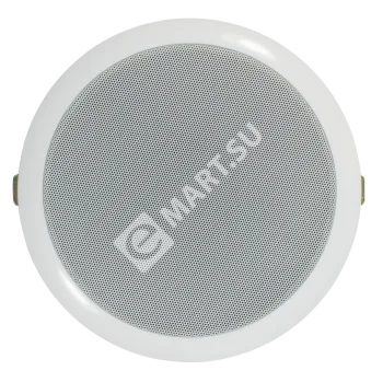 Tantos TSo-PW6a Громкоговоритель